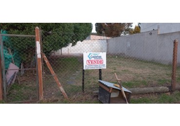 Lote de terreno en Punta Mogotes